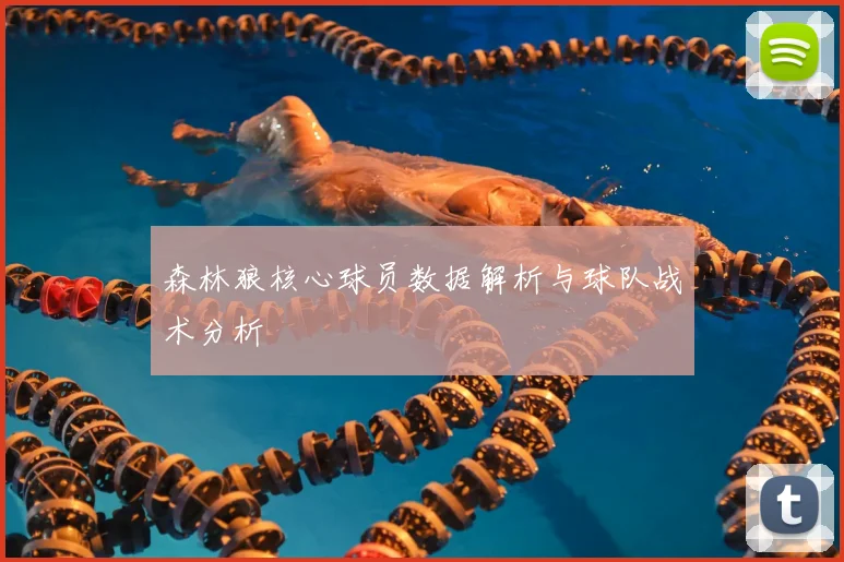 森林狼核心球员数据解析与球队战术分析