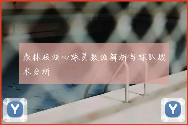 森林狼核心球员数据解析与球队战术分析